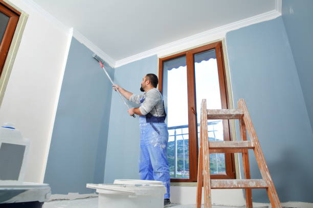 Best Drywall Crack Repair  in Edinburg, IL